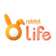 Rabbit Life ประกันแบบชั่วระยะเวลา ใจ ใจ 12/6 1
