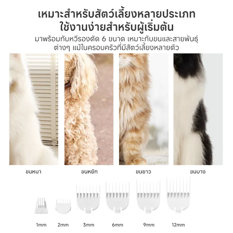 ปัตตาเลี่ยนตัดขนสุนัข 4 - in - 1 2