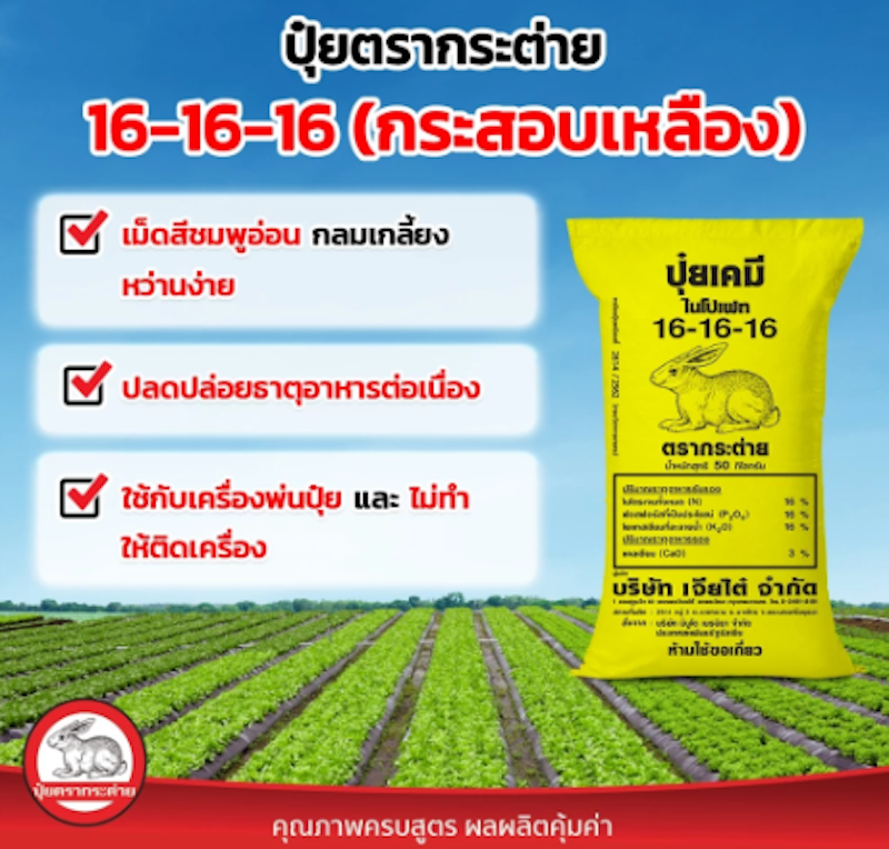 ปุ๋ยสูตร 16-16-16 3