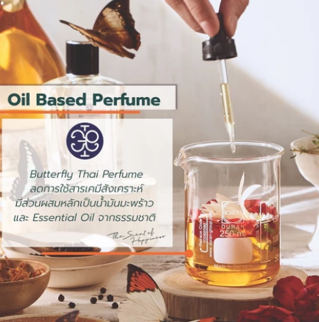 Petrichor กลิ่น ฝนแรก 2
