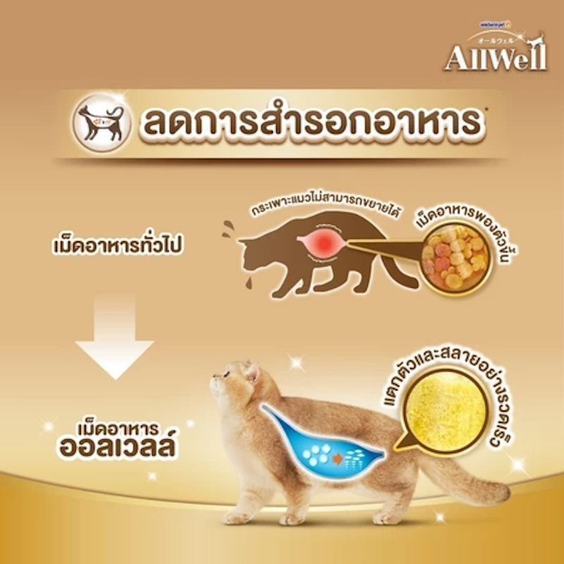 Indoor Cat Fish Flavor 3