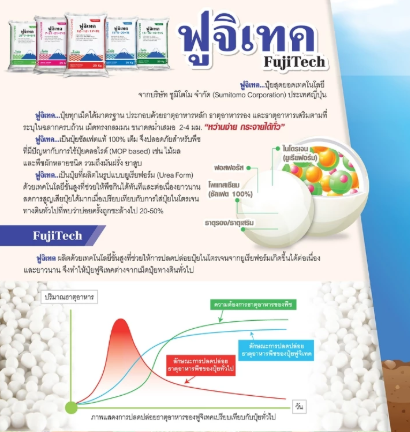 ปุ๋ยสูตร 16-16-16 3