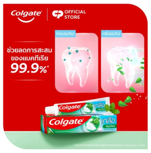 Salt Herbal Toothpaste 2