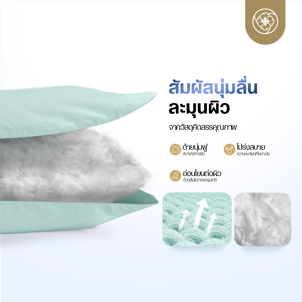 ผ้าห่มเย็น รุ่น Koyuki Duvet 4