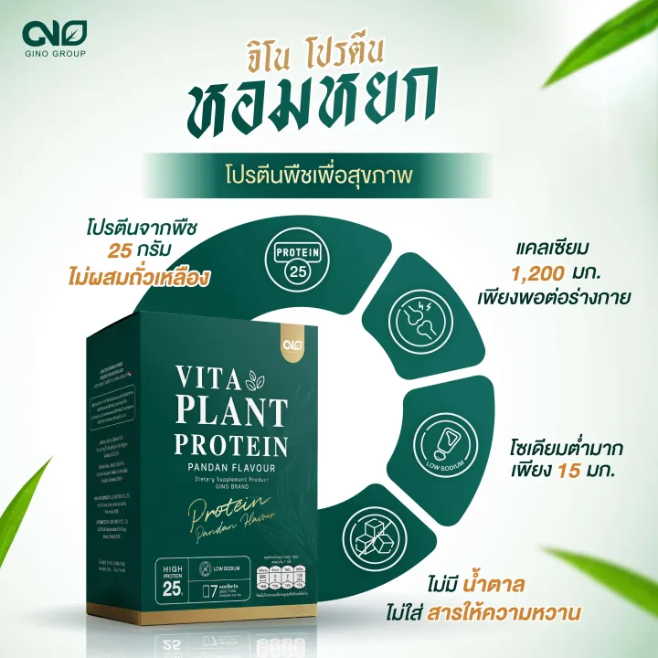 Vita Plant Protein 2