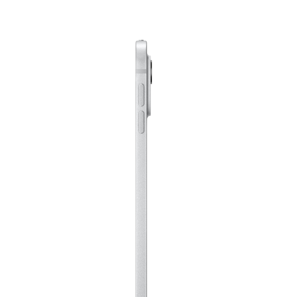 iPad Pro 13 inch Wifi - Cellular M4 Standard Glass 2