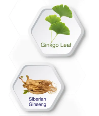 Ginkgo Biloba 3