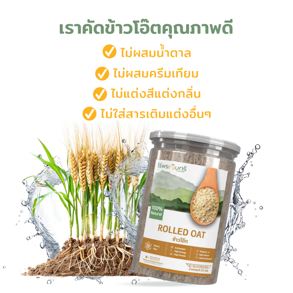 ข้าวโอ๊ตรีดแบน 2