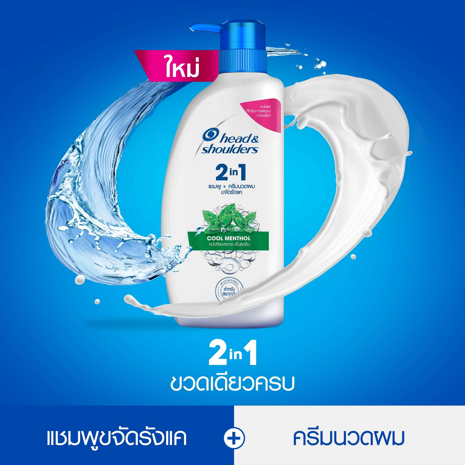 Anti Dandruff Shampoo & Conditioner 3