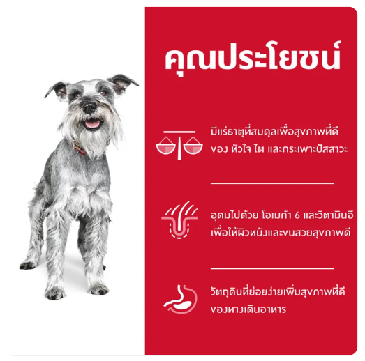 อาหารสุนัขพันธุ์เล็ก Science Diet Adult 7+ Small & Mini 3