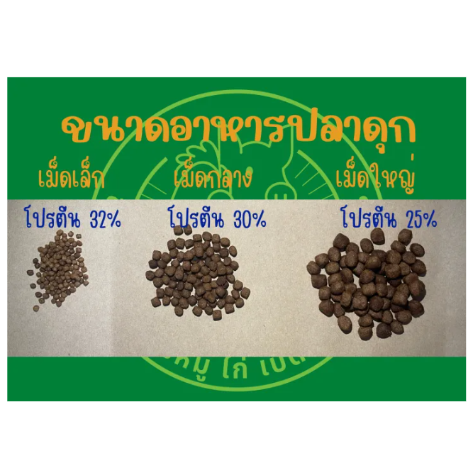 อาหารปลาดุก 3