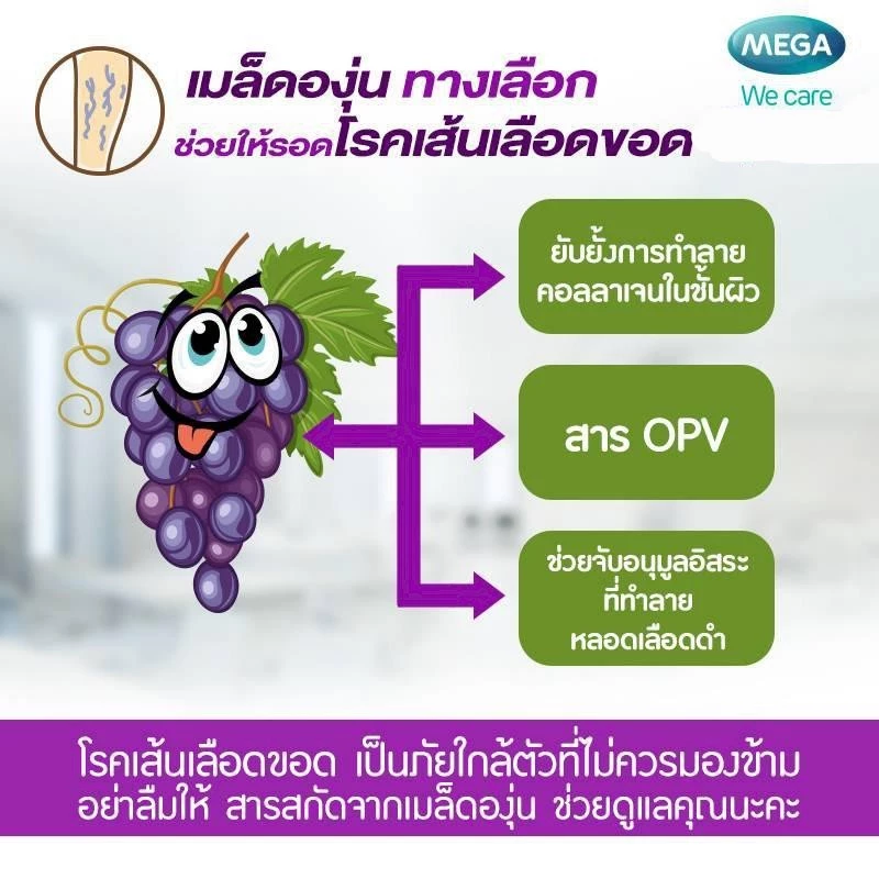 Grape Seed Extract HS สารสกัดเมล็ดองุ่น 3