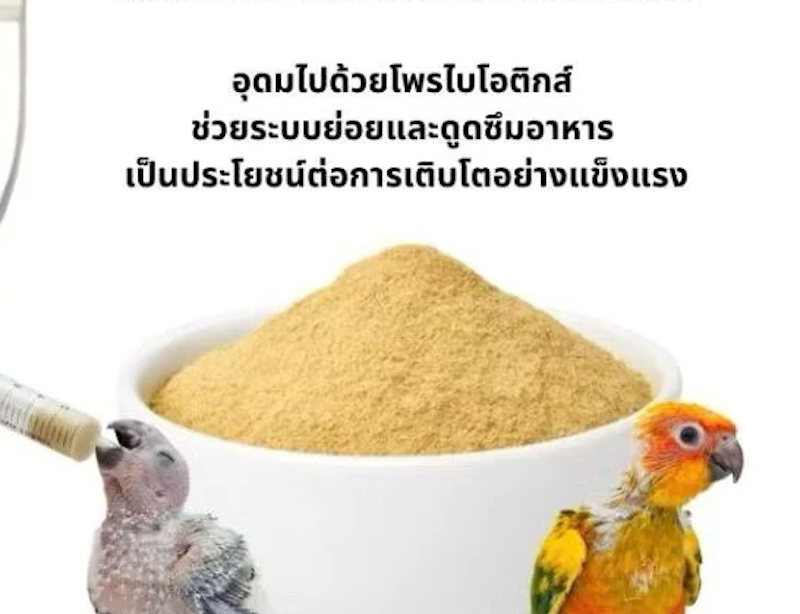 อาหารลูกป้อนนก Baby Bird 2