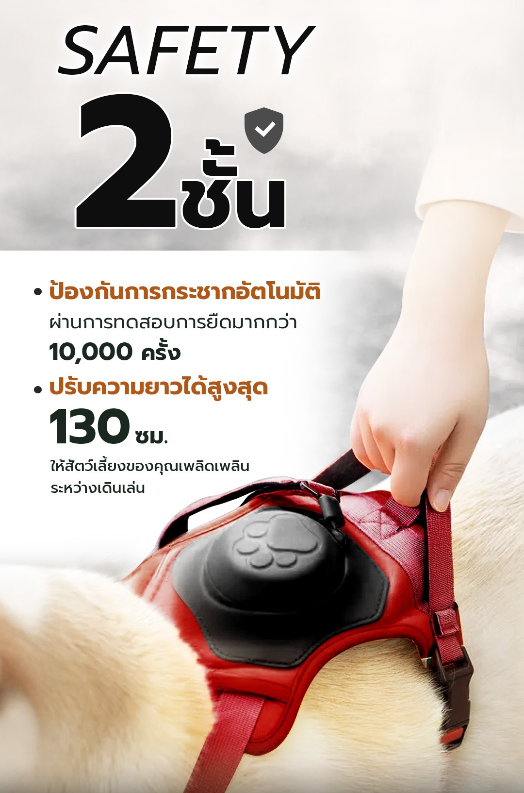 2in1 Pet Harness with Built - In Leash 2