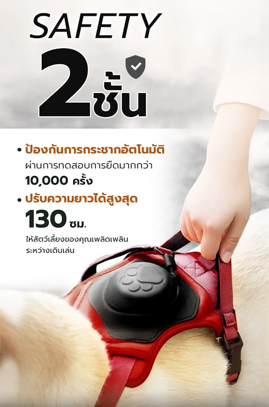 2in1 Pet Harness with Built - In Leash 2