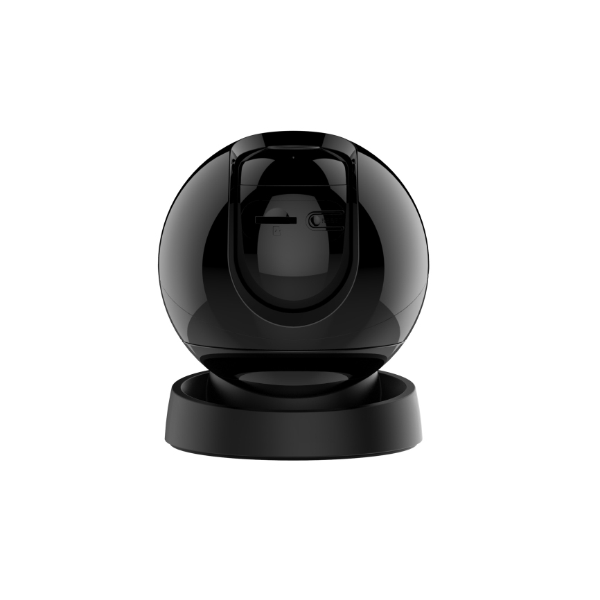 ReX 2D  2