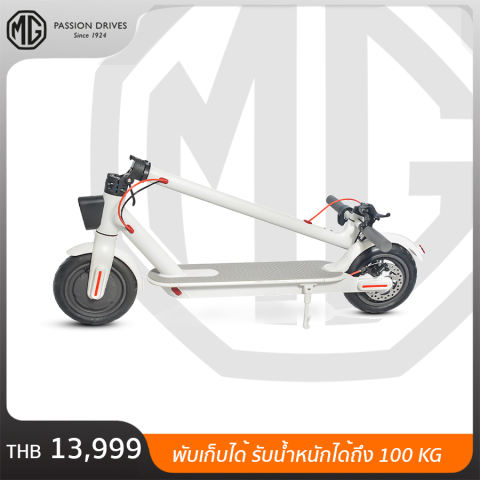 Electric Scooter 3