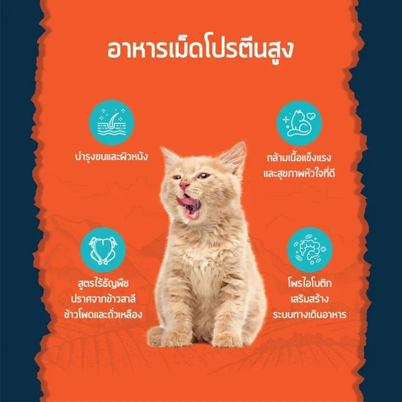 อาหารแมว Grain-free Essential Chicken and Salmon Flavour 3