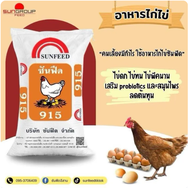 อาหารไก่ไข่ 915 เอ็ม 3