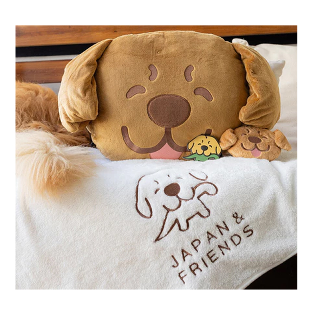 หมอนผ้าห่มจุ๊ม Joommeng Mee Arai Pillow And Blanket 2