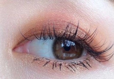 Bliss Brown  4