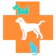 Jusco Ratchada Animal Hospital ตรวจสุขภาพแมว โรงพยาบาลสัตว์จัสโก้รัชดา 1