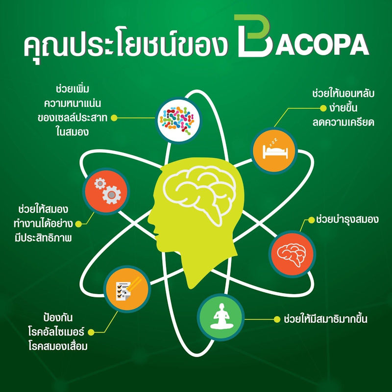 อาหารเสริมผู้สูงอายุ Bacopa 3