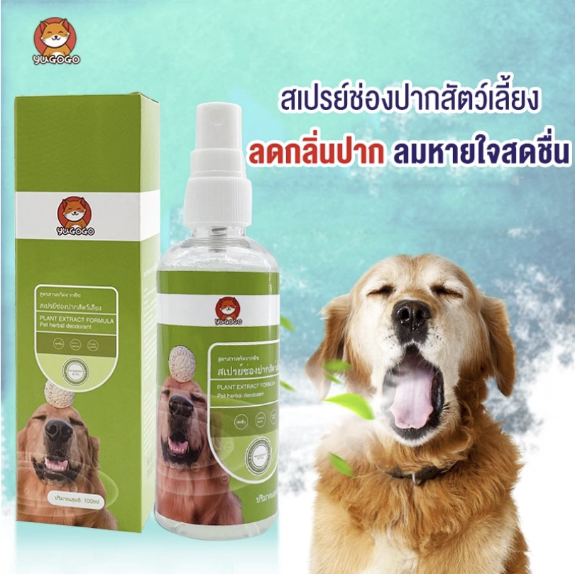 สเปรย์ฉีดช่องปากสัตว์เลี้ยง 2