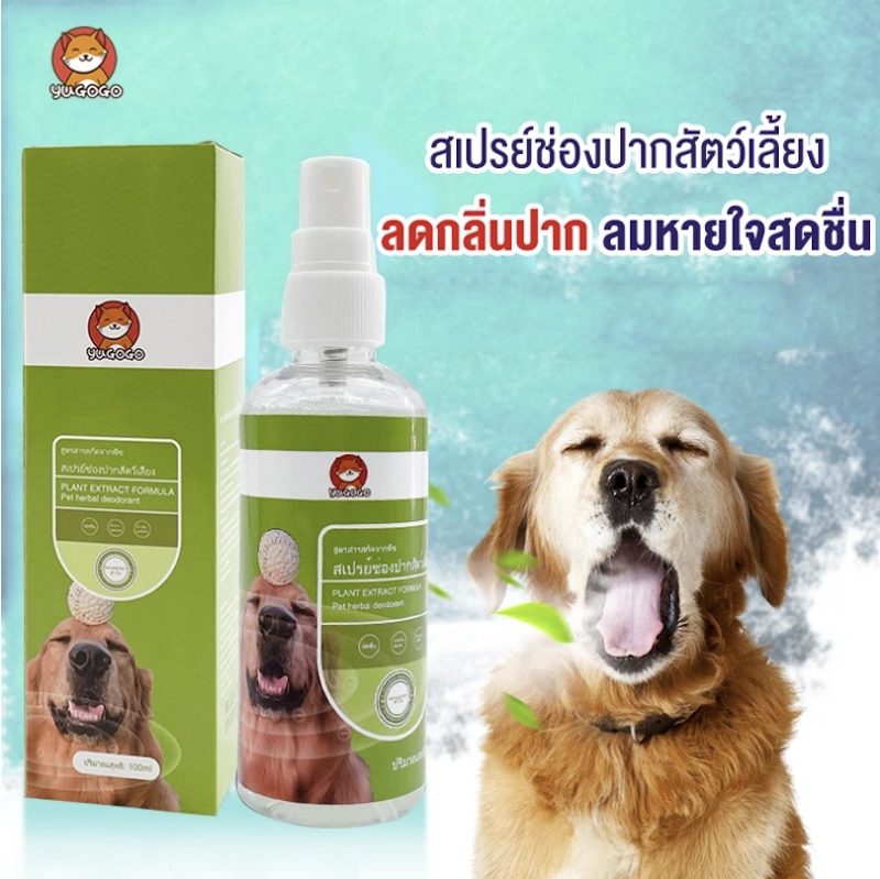 สเปรย์ฉีดช่องปากสัตว์เลี้ยง 2