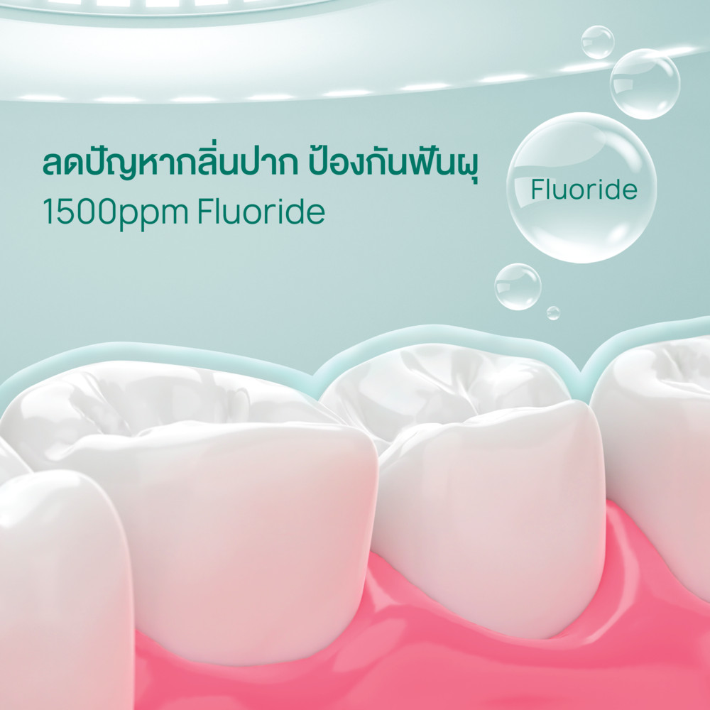 ยาสีฟันสูตรแปรงแห้ง Anticavity Max Fluoride Toothpaste 3