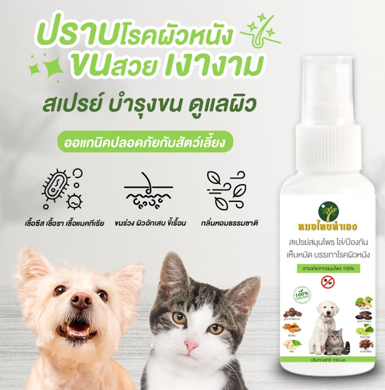 สเปรย์บรรเทาโรคผิวหนัง 2