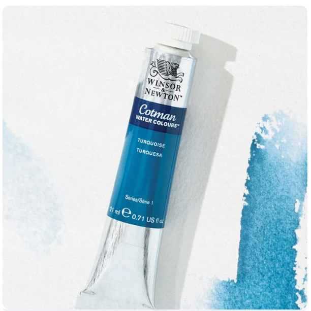Cotman Water Color 2