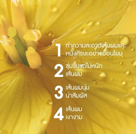 Nutrition Nourishing Shampoo 3