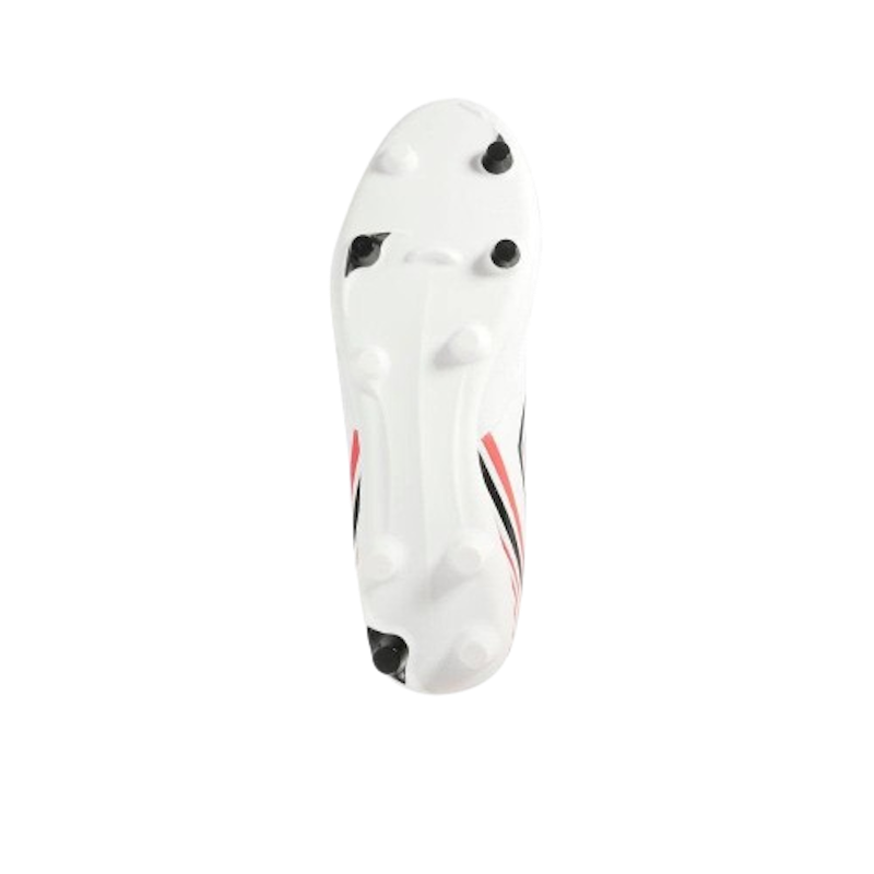 Classico XIII FG 3