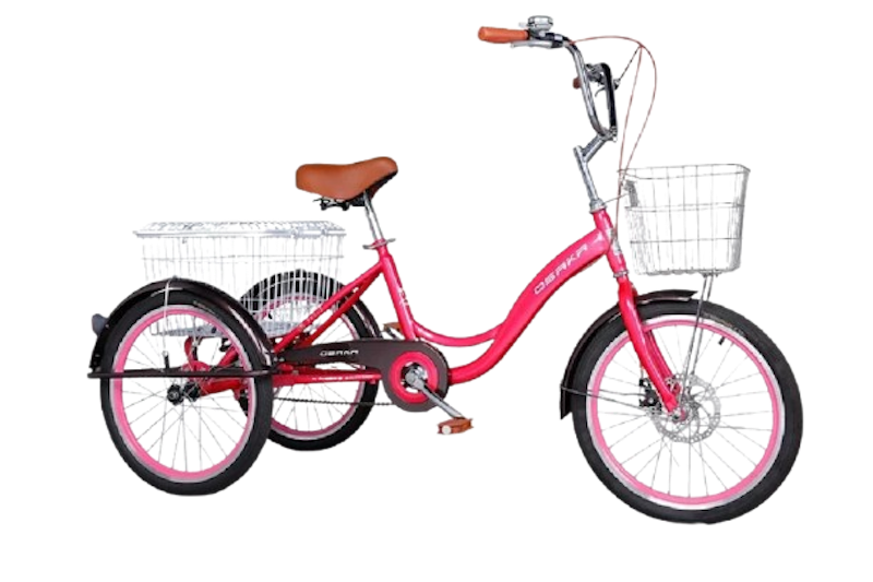 Camel Tricycle 1