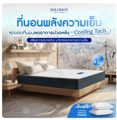 ที่นอนเย็น รุ่น Cooling Tech 3