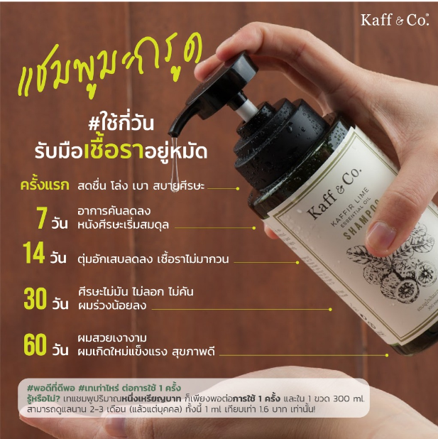 แชมพูน้ำมันมะกรูดสกัดเย็น 3