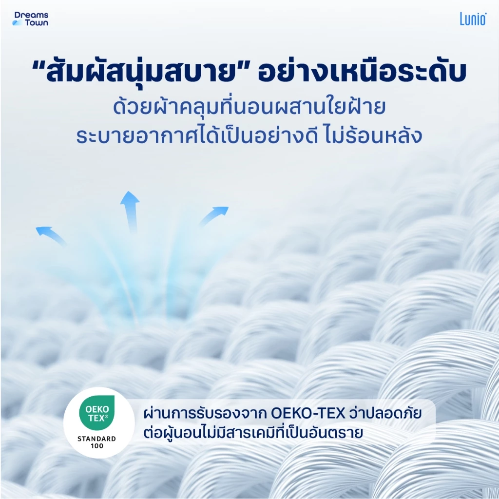 ที่นอนเมมโมรี่โฟม Basics รุ่น IceMax  5