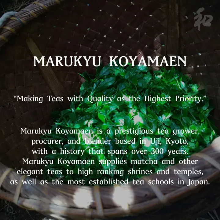 ผงมัทฉะเกรดพิธีการ Unkaku 3