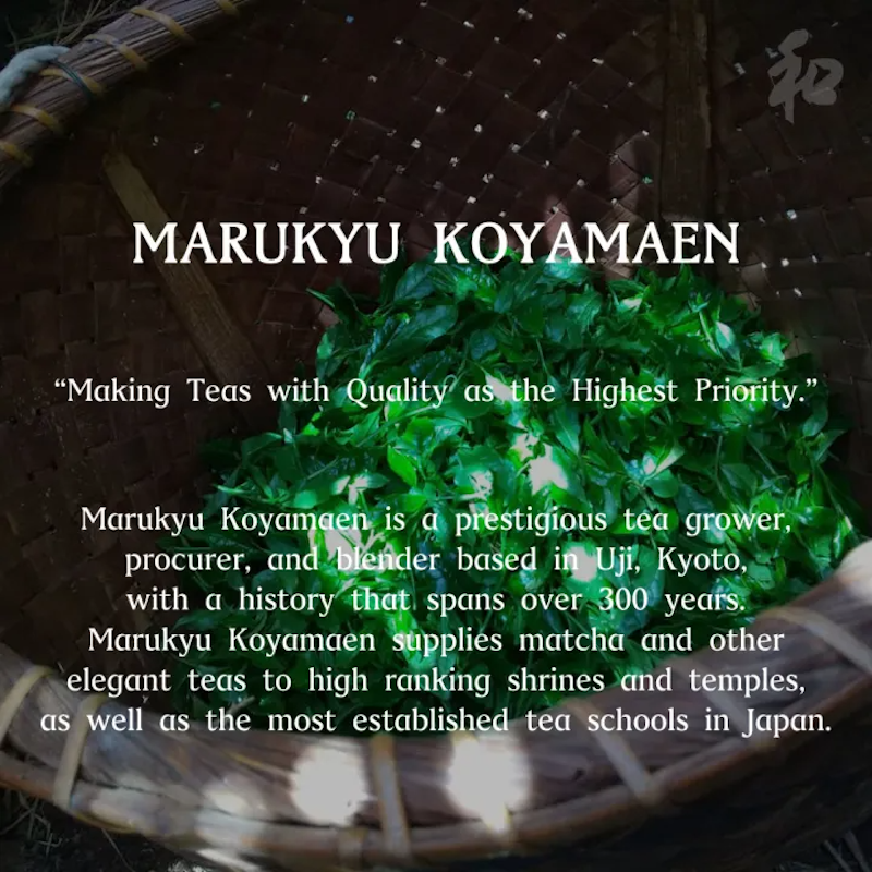 ผงมัทฉะเกรดพิธีการ Unkaku 3