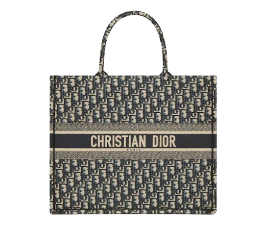Dior Book Tote  3
