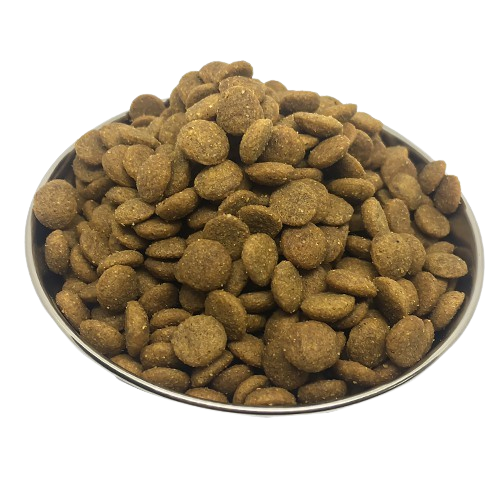 DOG LARGE BREED  2