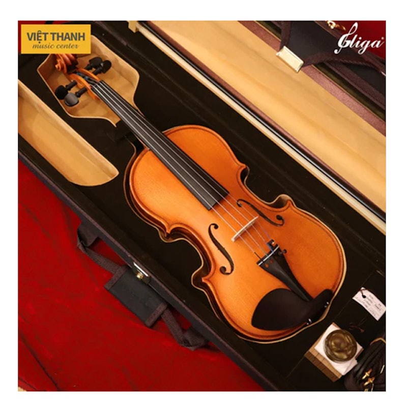 ไวโอลิน GEMS II Violin 3