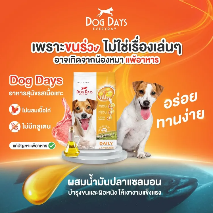 Super Premium Daily อาหารสุนัขรสเนื้อแกะ 3