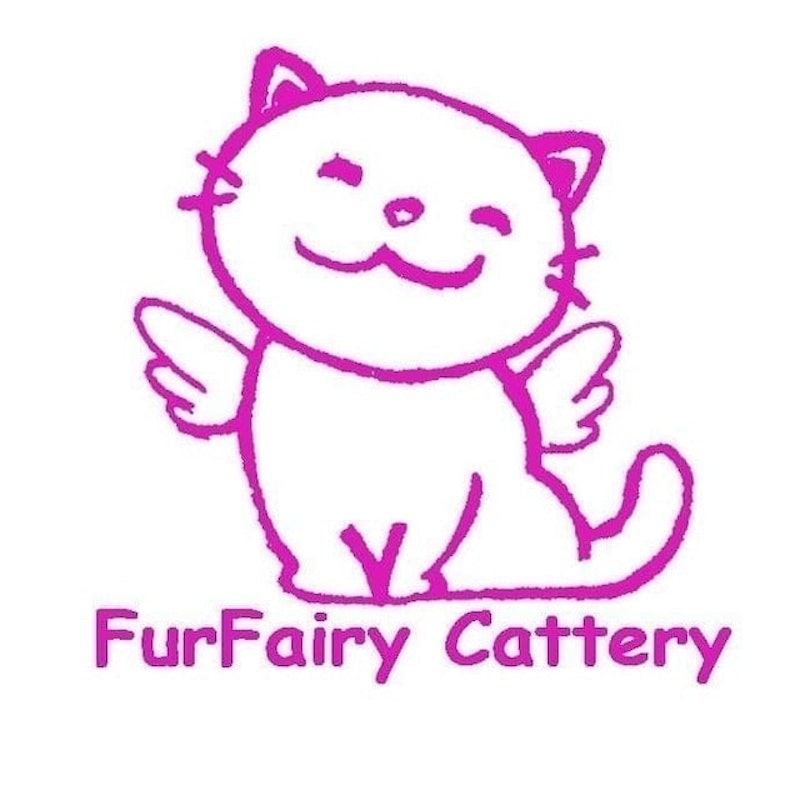 ฟาร์มแมว FurFairy Cattery 1