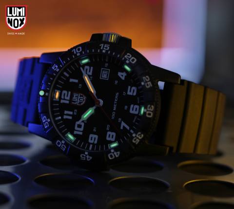 Leatherback Sea Turtle Giant 0320 Series  2