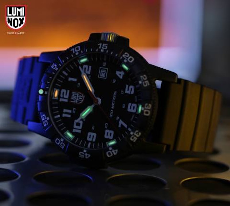 Leatherback Sea Turtle Giant 0320 Series 2