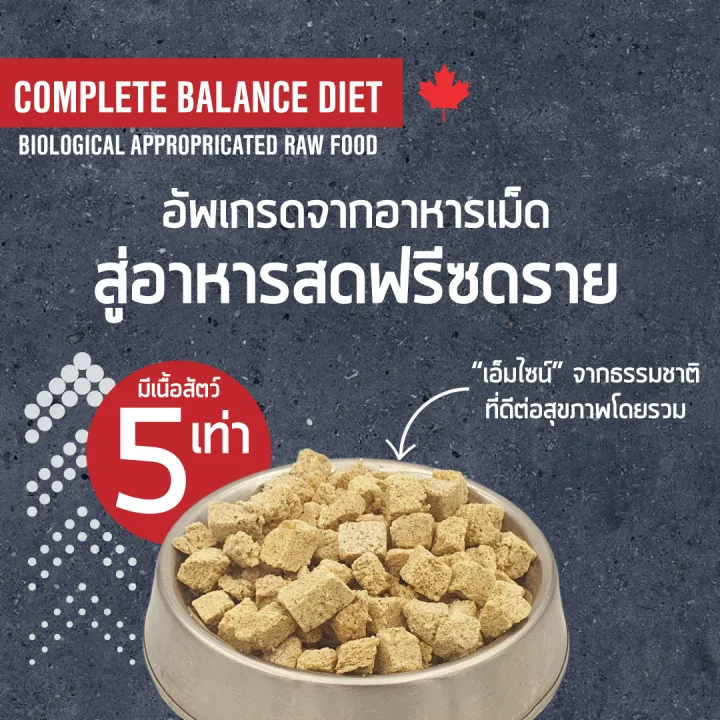  อาหารบาร์ฟฟรีซดราย Raw Dinner Bite for Dogs สูตรหมู ผักและผลไม้รวม 3