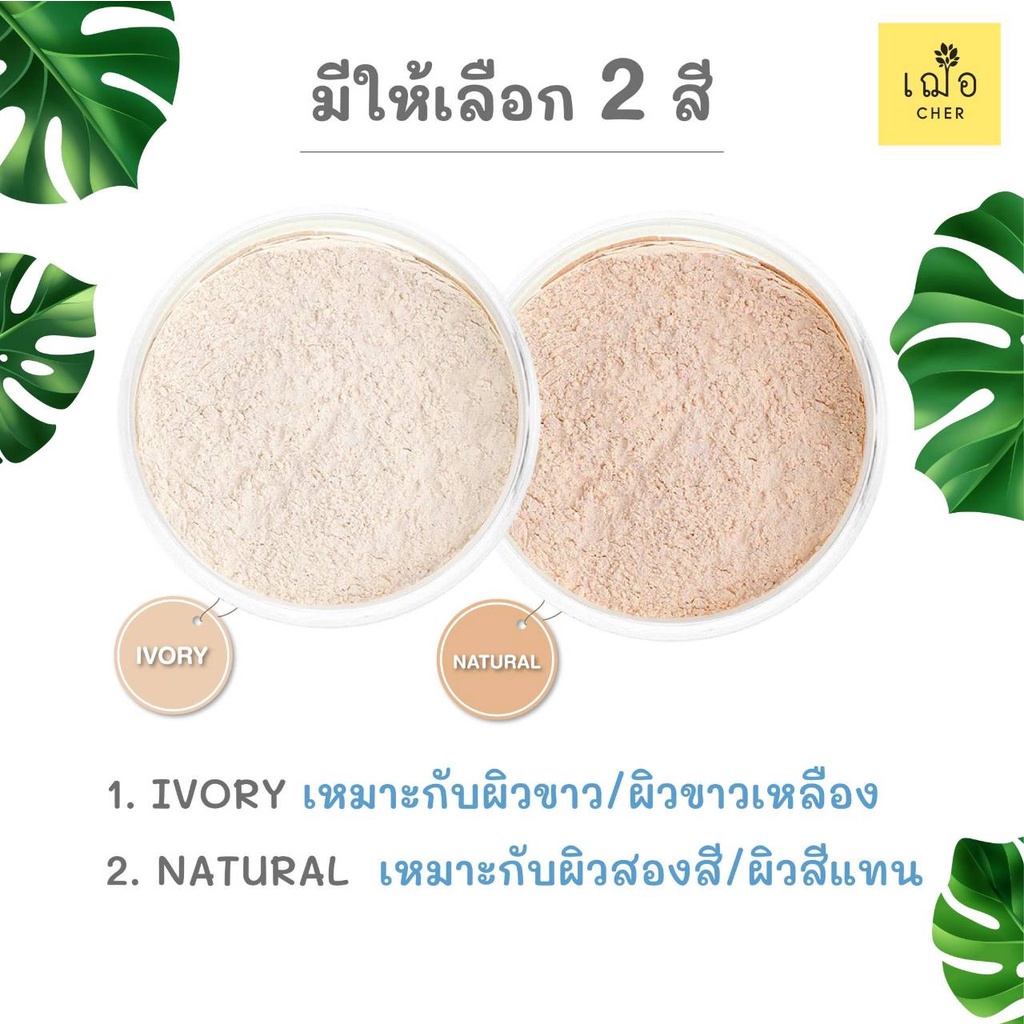 Oil Free Oil Control Loose Powder 2