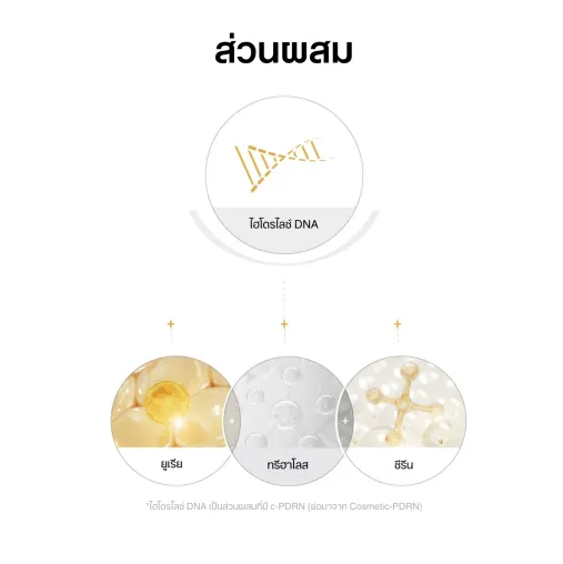 ดูอัล เอฟเฟกต์ แอมพูล Dual Effect Ampoule 3
